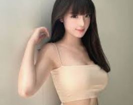 基础介绍系统